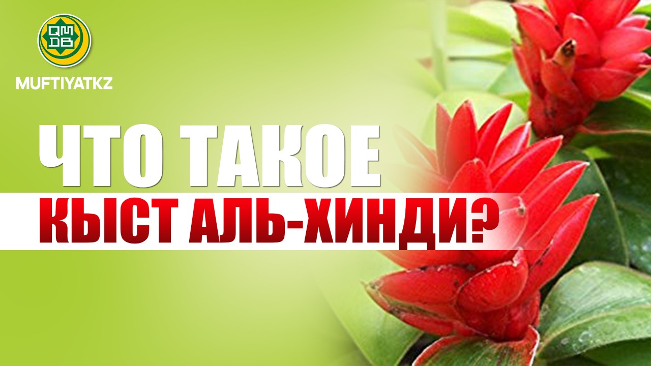 ЧТО ТАКОЕ КЫСТ АЛЬ-ХИНДИ?