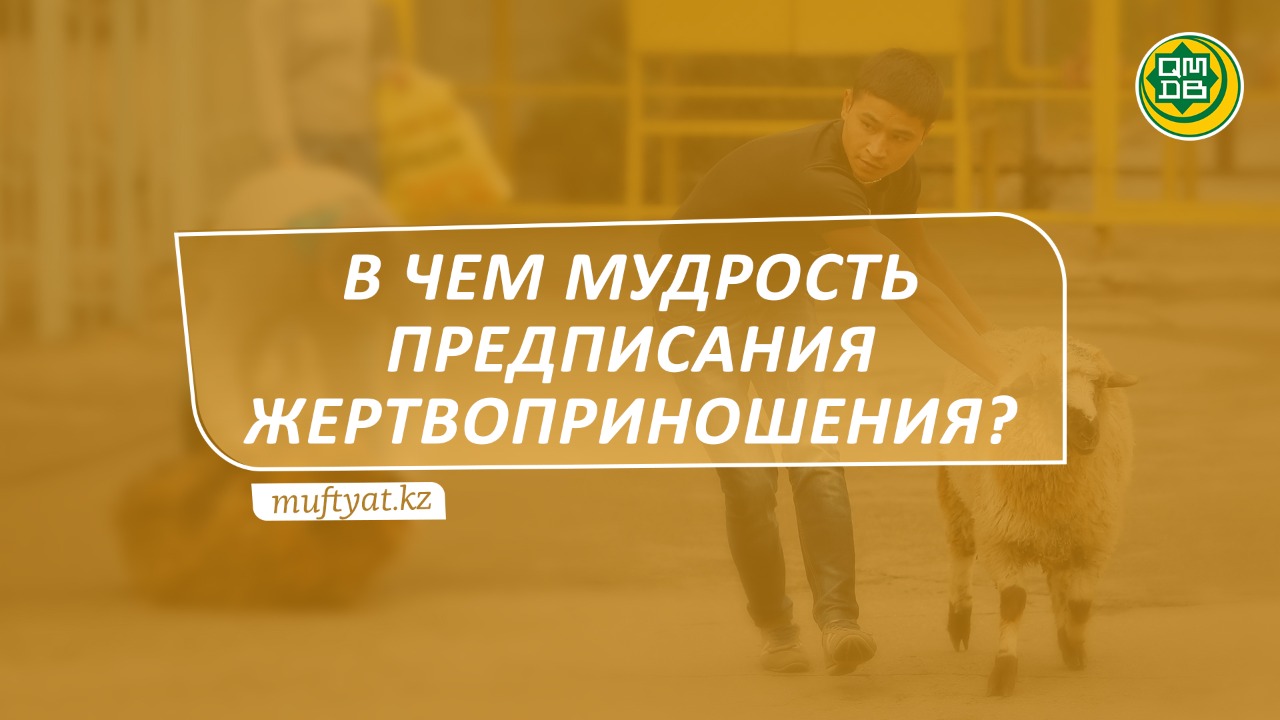 В ЧЕМ МУДРОСТЬ ПРЕДПИСАНИЯ ЖЕРТВОПРИНОШЕНИЯ?