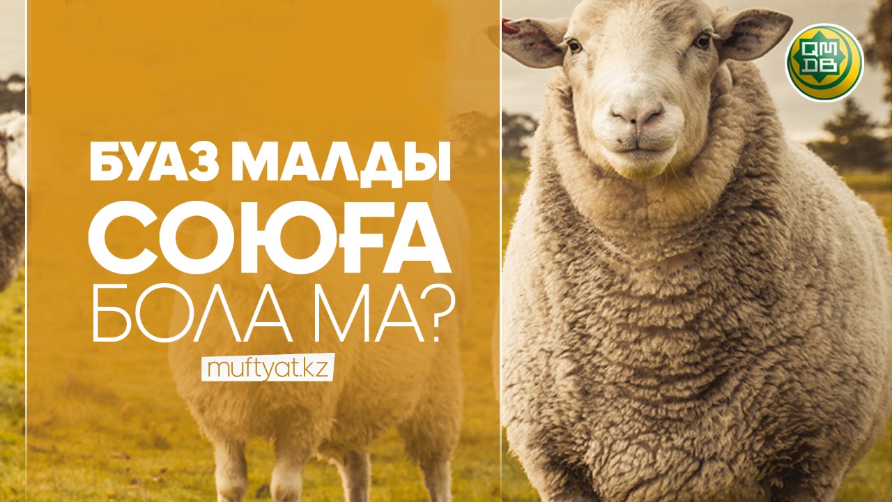 БУАЗ МАЛДЫ СОЮҒА БОЛА МА?