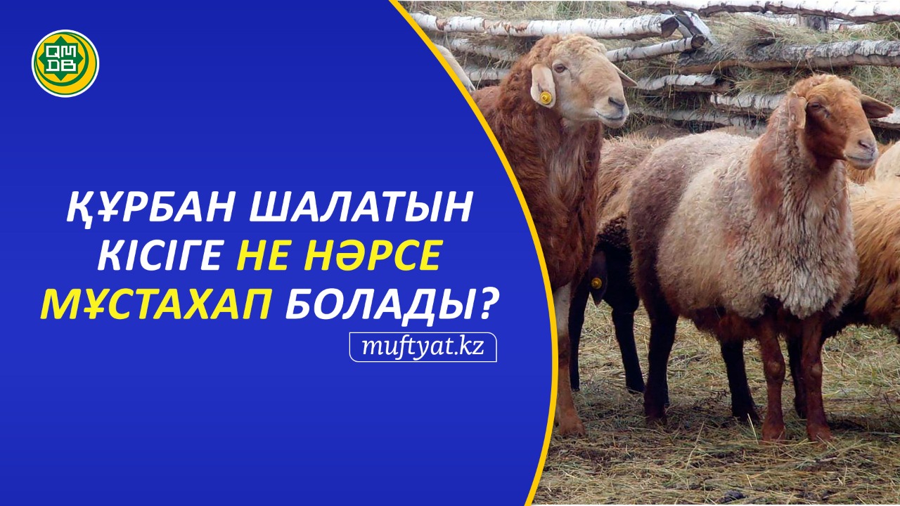 ҚҰРБАН ШАЛАТЫН АДАМҒА НЕ НӘРСЕ МҰСТАХАП БОЛАДЫ?