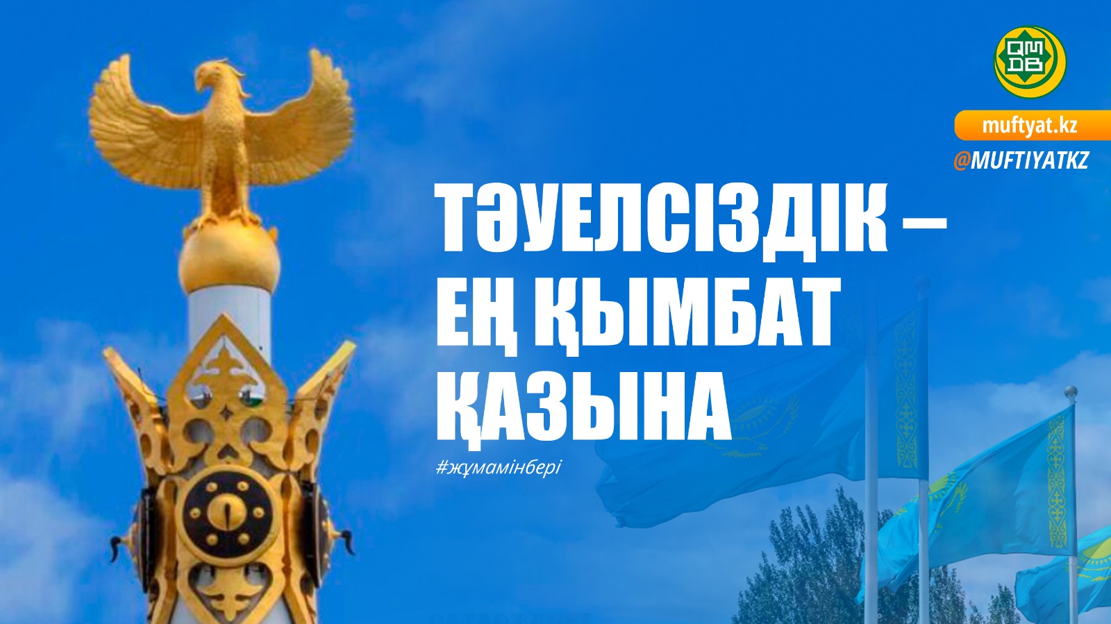 Мишаның құлағына құйылады