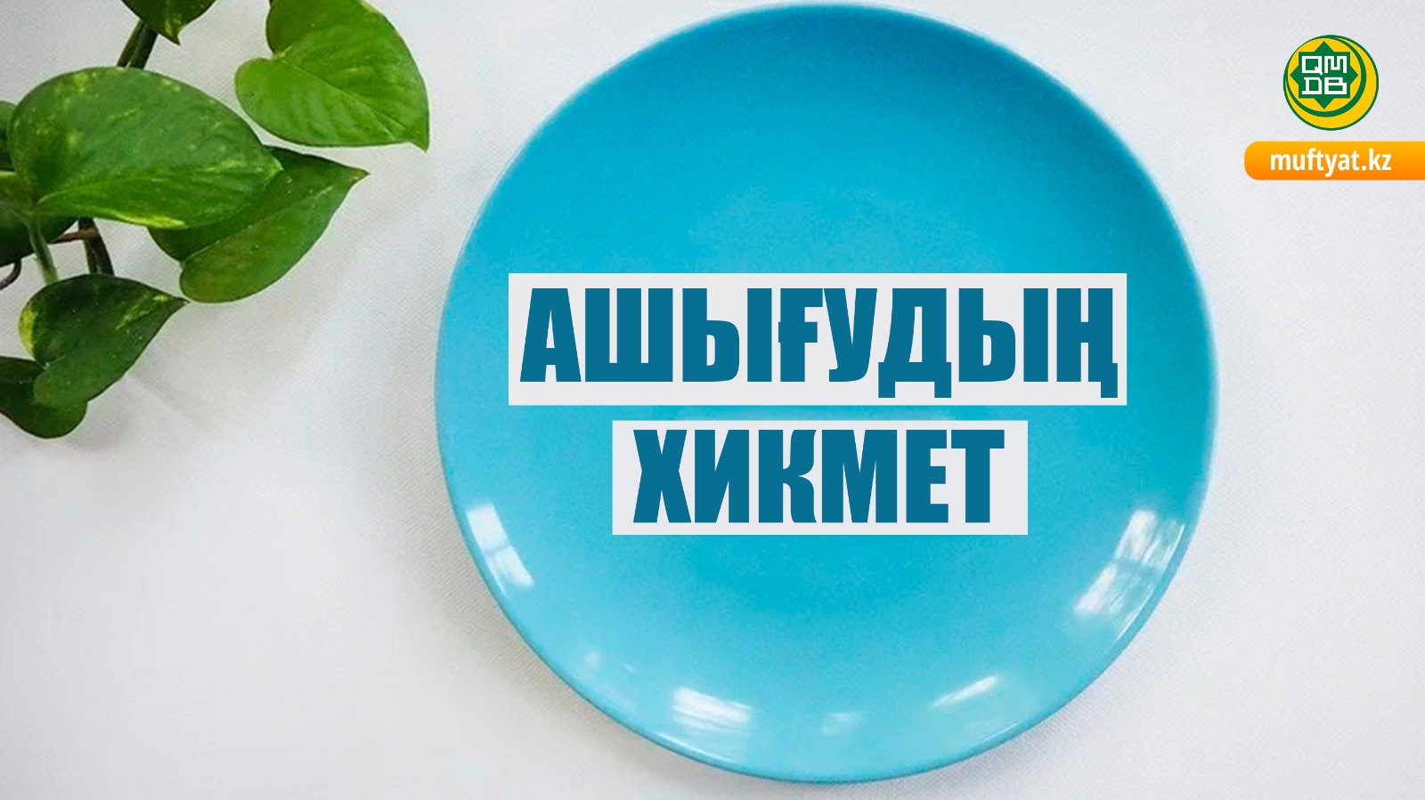 АШЫҒУДЫҢ ХИКМЕТІ