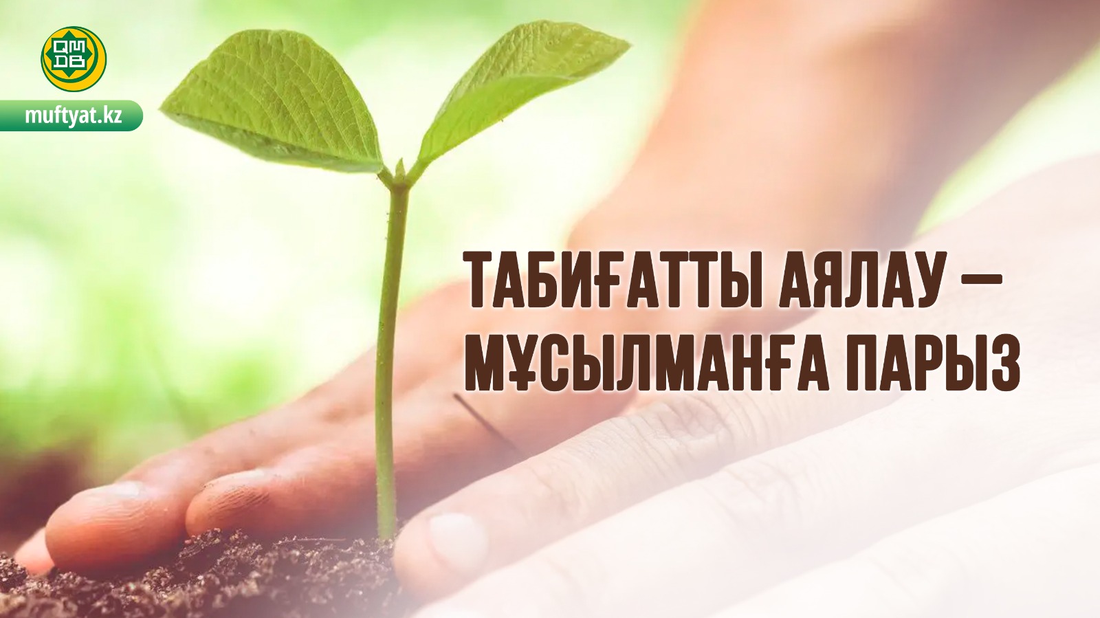 Кішкентай сиськи порно Кросивок порно