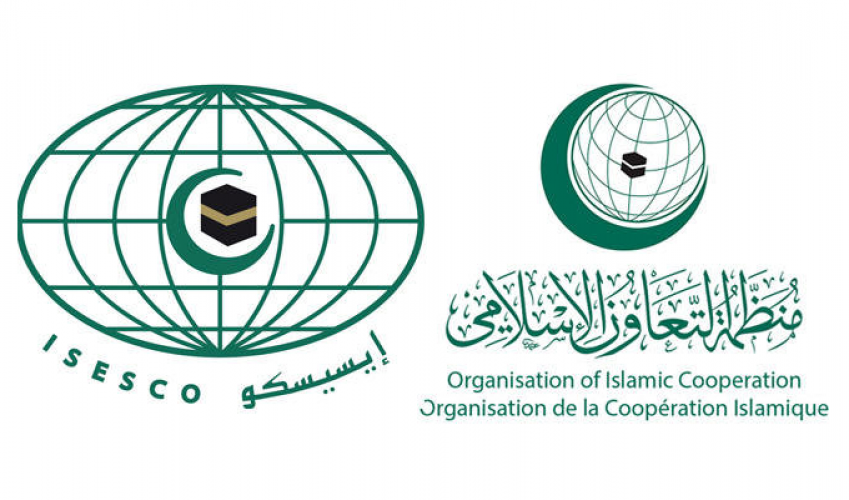 Организация исламская конференция. ОИС организация Исламского сотрудничества. Организация Исламская конференция (ОИК). Организация Исламского сотрудничества лого. ОИС эмблема.
